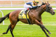 アメリカンファラオ産駒のBC勝馬フォーホイールドライブが日本で種牡馬入りへ