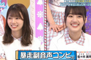 【日向坂46】さすが『ひなあい』テロップ職人！「DASADA」暴走副音声までしっかりチェックｗｗ【日向坂で会いましょう】