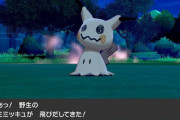ミミッキュとか言う環境トップなのに強化され続けるポケモン