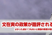 韓国文在寅の政策、自国の教授に酷評される！　「よかった点は1つもない」　終わったな…