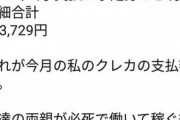 熊澤英一郎「親のクレカで月32万円使ってる。5chのニート共、羨ましいか？w」
