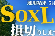 【$SOXL悲報】現場のエンジニア「実を言うと、半導体バブルはもうだめです。突然こんなこと言ってごめんね。でも本当です」
