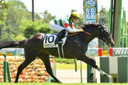 【2歳新馬】フォラブリューテ強すぎワロタwww