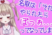 【Vtuber】想像上の申谷カイに負ける名取さな