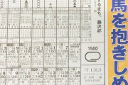 【日向坂46】日刊競馬さん「弊社のおひさま」が暗躍ｗｗｗｗｗｗｗｗ