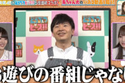 オードリー若林「ゴールデン番組は日向坂で会いましょうみたいなお遊びの番組じゃない」【日向坂46】