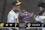 ベイスターズ ０－１ タイガース　阪神戦９勝１２敗３分でフィニッシュ