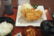 【画像】この500円の白身フライ定食の欠点ってなに？