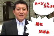 ニコ動の党首討論で「あべぴょん頑張れ」とか福島に「黙れババア」とか自演してた平井卓也がデジタル相