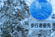 【画像】新潟がいつも大雪だと思ってるやつ、これ見ろｗｗｗｗｗｗｗ