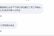 【悲報】滝沢ガレソさん、ヤクザの小指を”ミニモニ”といじり死亡確定
