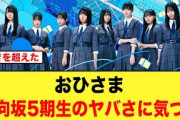 【ネタバレ注意】えっセトリが…おひさま、日向坂5期生のヤバさに気づく【日向坂46】