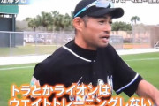 イチロー「ライオンは筋トレしない」