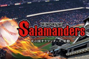 【悲報】プロ野球ルーキー、逮捕