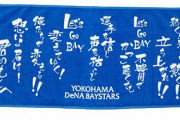 横浜DeNAの「ライジングテーマ」とかいう現地で聞くとめっちゃ盛り上がる曲ｗｗｗｗ