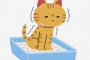 【動画】猫用の自動トイレなんてあるのか…購入者『買って1年になるけど、人間はラクできるし猫は常に清潔で良い』
