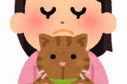 【朗報】猫とかいうめちゃくちゃ飼いやすい生き物←これｗｗｗｗｗ