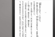 iPad miniを読書用に欲しいんだがkindleで十分ってのも分かる。どう？