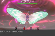 【ポケモン剣盾】レイドバトルのテンポ悪くない？