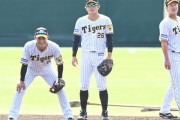 阪神・糸原＆木浪「二塁」勝ち取る　中野コンバート＆二遊間固定案で競争し烈