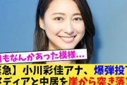 【緊急】小川彩佳アナ、爆弾発言→メディアと中居を崖から突き落とす 【2chまとめ】【2chスレ】【5chスレ】