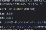 林芳正外相、「義勇兵」参加しないよう呼びかけ　ウクライナは全土退避勧告