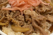 牛丼で1番美味しい店って吉野家だよな？