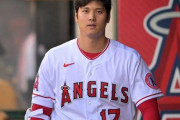 大谷翔平(193cm95kg)「お前俺の事馬鹿にしてただろ？」