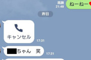 【悲報】せいやさん、謝罪LINEまで売られてしまう