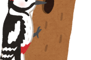 【悲報】隣にキツツキが来た…