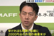 【悲報】セクシー大臣「早ければ6月頭には店頭に2000円台の備蓄米を並ばせる！（断言）」←これwwww