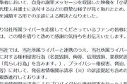 【悲報】人気VTuberを誹謗中傷していた加害者、賠償金100万で示談に。謝罪メッセージ映像を送って減額してもらうｗｗｗｗ