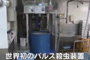 熊本大学のアニサキス瞬殺マシーンが実戦配備される