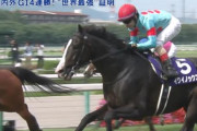【競馬】G1・宝塚記念、「イクイノックス」のジョッキーカメラ映像公開！石めっちゃ痛そう