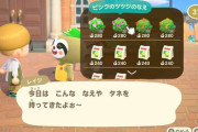 【あつ森】低木楽しみにしてたけど年中咲かないなら生垣でも良さそう？とび森での開花期間を参考にすると…【どうぶつの森 まとめ】