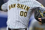 【阪神】ゲラ２セーブ目　９回１点差で４番中田翔から３人斬り「どんな打者であれアウトを取る」
