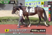 【日曜中京5R新馬戦】 怪物モーザリオ　始動