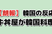 【朗報】韓国人「日本の牛丼チェーンが韓国料理を始めた、値段がおかしい」