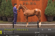 【セレクトセール2021】アイムユアーズの2021（父レイデオロ）を藤田晋氏が落札