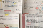 【画像】今どきの中1の技術の教科書をご覧ください