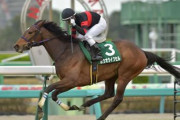 【フラワーカップ】ホウオウイクセルが内から伸び快勝！重賞初制覇！