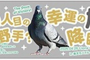 【朗報】西武の「幸運の鳩」、ついに公式グッズ化！