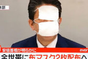 【悲報】安倍晋三「アベノマスクは2.8億枚の需要」?10倍盛ってることがバレる