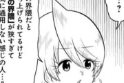 【悲報】ブラジル人「日本人がブラジルの有名な漫画家、モーリシオを知らないなんてあり得ない」 日本人「…？」