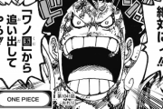 【ネタバレ注意】ワンピース 1041話「小紫」【ジャンプ13号2ch感想まとめ】