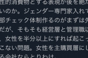 フェミ「企業は私達に燃やされたく無かったらアドバイザーとして採用しな？」