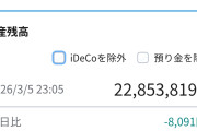 新NISA満額1800万を最速で埋めて33歳から65歳まで放置するつもりだがアドバイスあるか？