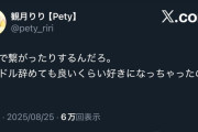 【悲報】地下アイドルさん「なんで繋がったりするの？アイドル辞めてから付き合ったりすればいいのに」