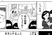 【雑務】なんだよこの漫画ｗｗｗ【注意】