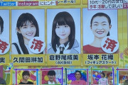 【速報】日本テレビ「ヒルナンデス」であのAKBメンバーが紹介されるwwwww